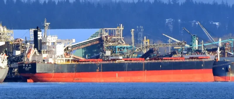 JO JIN MARU Bulk Carrier IMO 9599133 photo 6