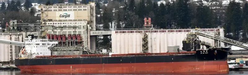 JO JIN MARU Bulk Carrier IMO 9599133 photo 7