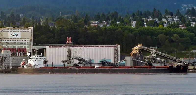 JO JIN MARU Bulk Carrier IMO 9599133 photo 9
