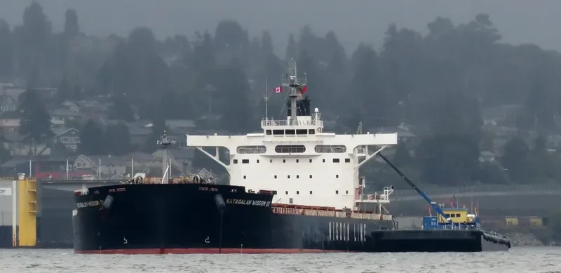 KATAGALAN WISDOM III Bulk Carrier IMO 9599145 photo 5