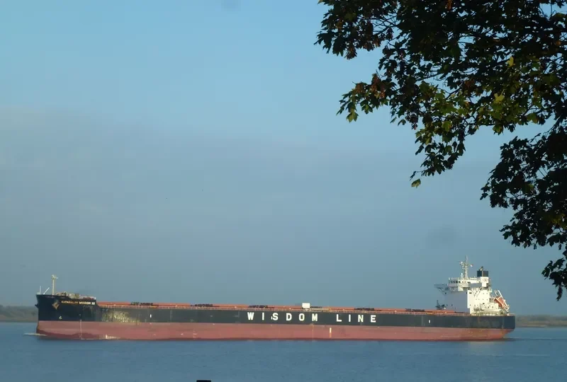 KATAGALAN WISDOM III Bulk Carrier IMO 9599145 photo 8