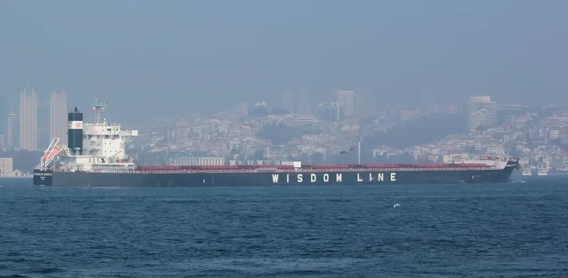 KATAGALAN WISDOM III Bulk Carrier IMO 9599145 photo 10