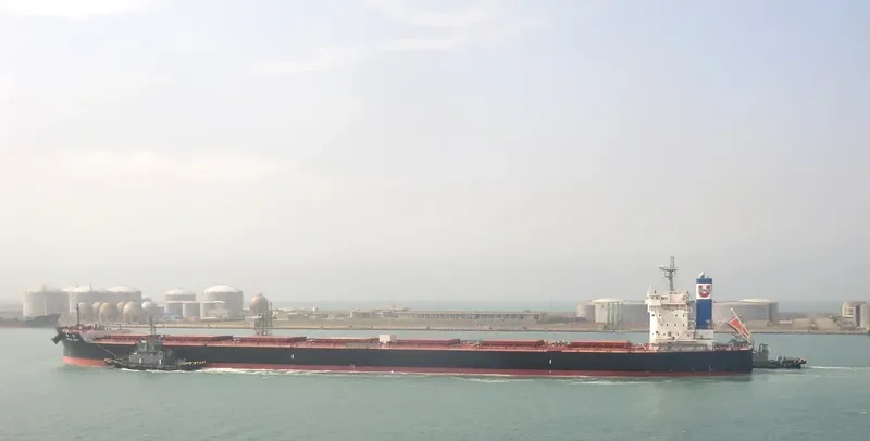 CEMTEX ORIENT Bulk Carrier IMO 9599169 photo 3