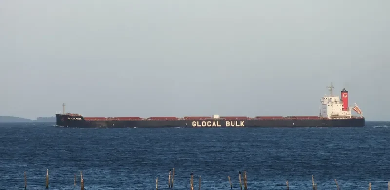 BUNJI Bulk Carrier IMO 9599171 photo 7