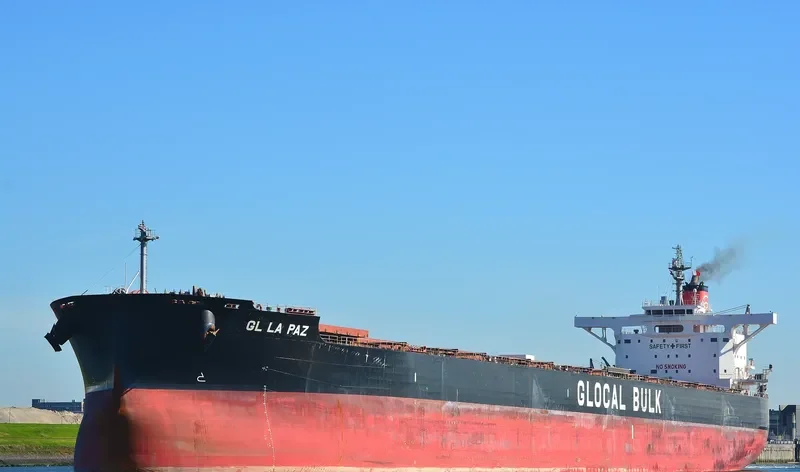 GL LA PAZ Bulk Carrier IMO 9599183 photo 5