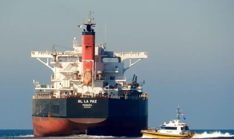 GL LA PAZ Bulk Carrier IMO 9599183 photo 7