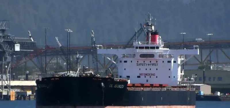 GL IGUAZU Bulk Carrier IMO 9599200 photo 7