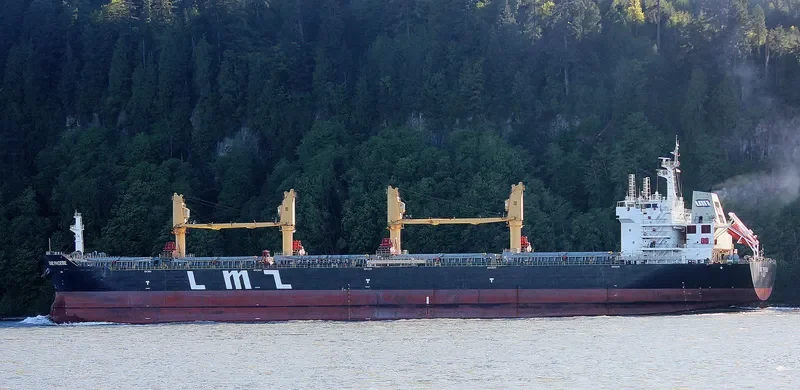 LMZ PHOEBE Bulk Carrier IMO 9599389 photo 5