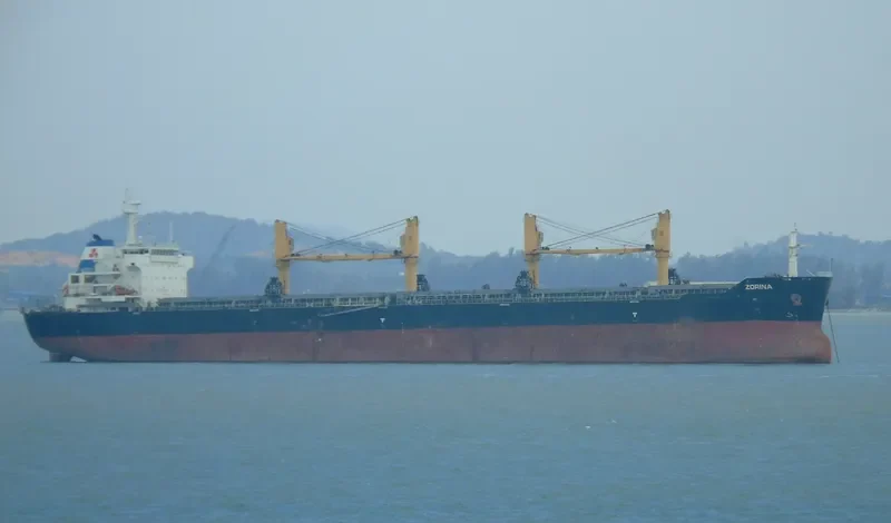 ZORINA Bulk Carrier IMO 9599391 photo 3