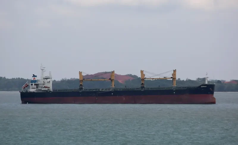 ZORINA Bulk Carrier IMO 9599391 photo 4