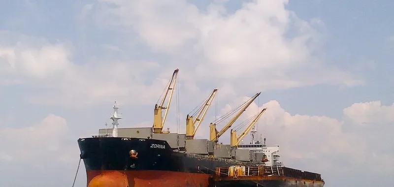 ZORINA Bulk Carrier IMO 9599391 photo 9
