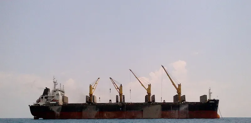 ZORINA Bulk Carrier IMO 9599391 photo 10