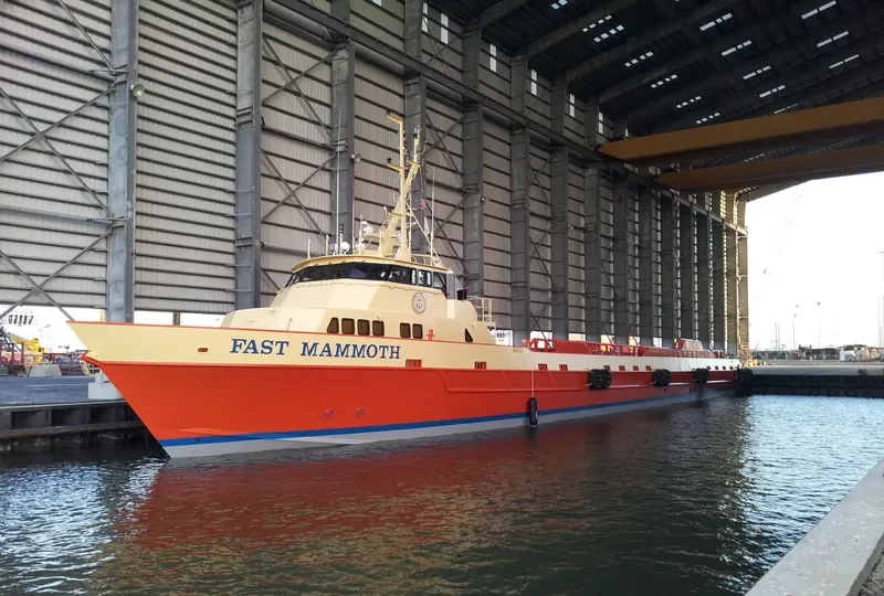 FAST MAMMOTH General Cargo IMO 9599444 photo 2
