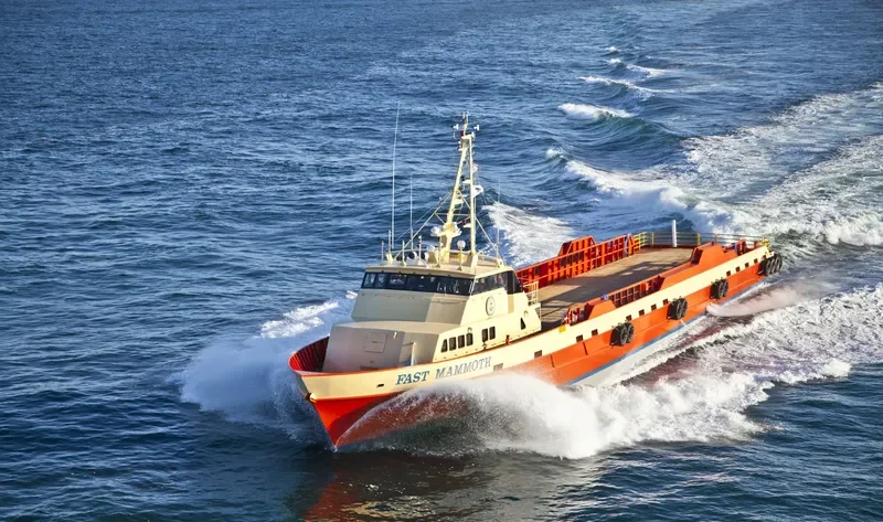 FAST MAMMOTH General Cargo IMO 9599444 photo 6