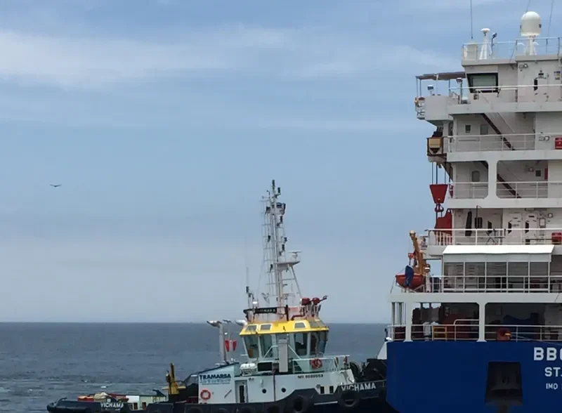 VICHAMA General Cargo IMO 9599559