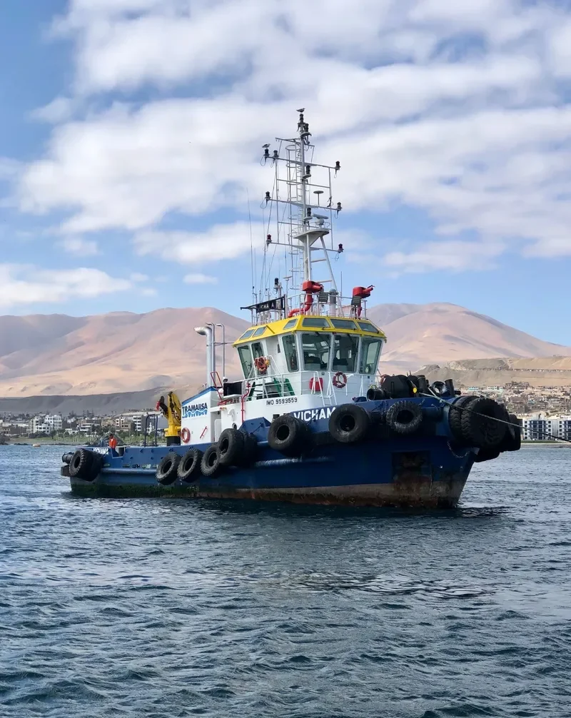 VICHAMA General Cargo IMO 9599559 photo 2