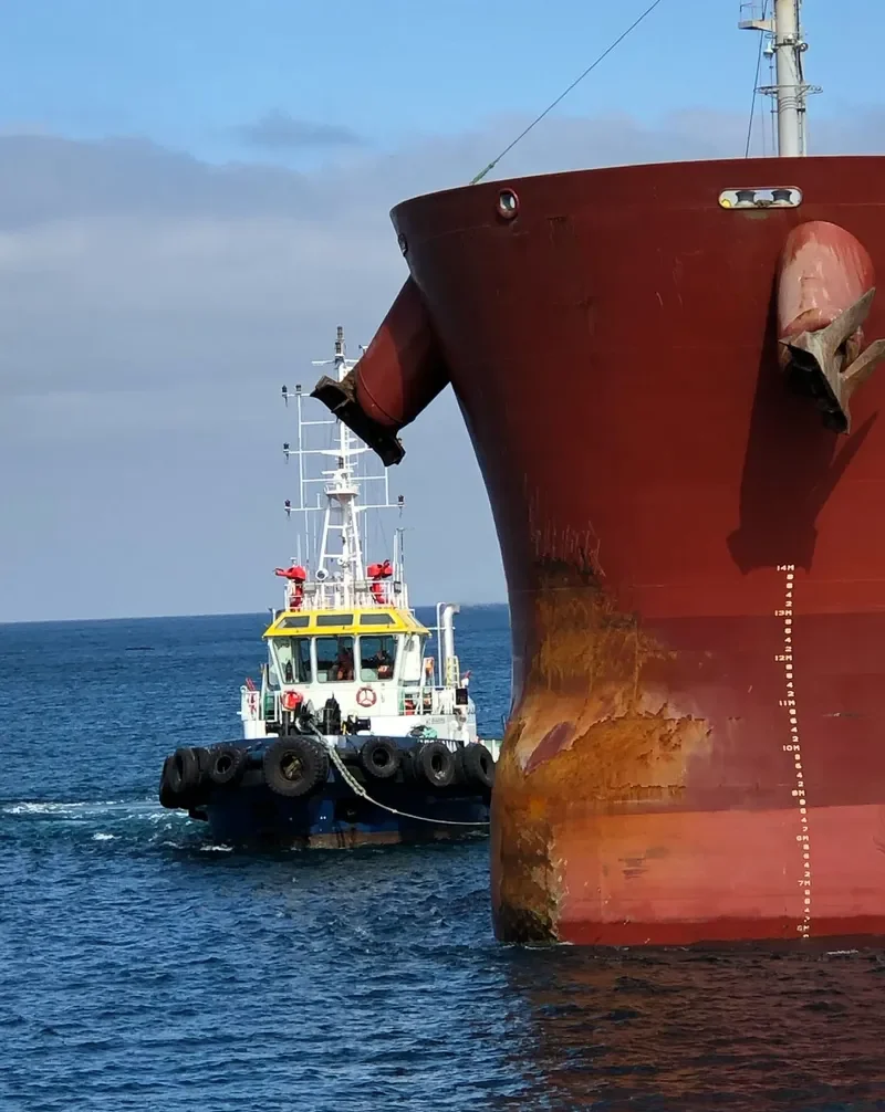 VICHAMA General Cargo IMO 9599559 photo 4