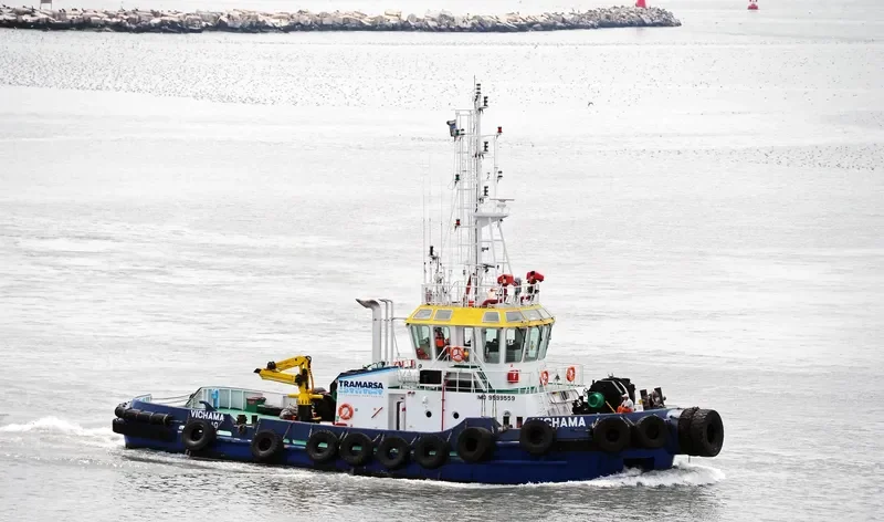 VICHAMA General Cargo IMO 9599559 photo 8