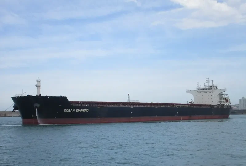 OCEAN DIAMOND Bulk Carrier IMO 9599573 photo 2