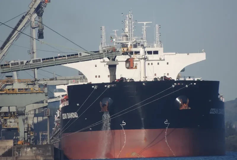 OCEAN DIAMOND Bulk Carrier IMO 9599573 photo 5