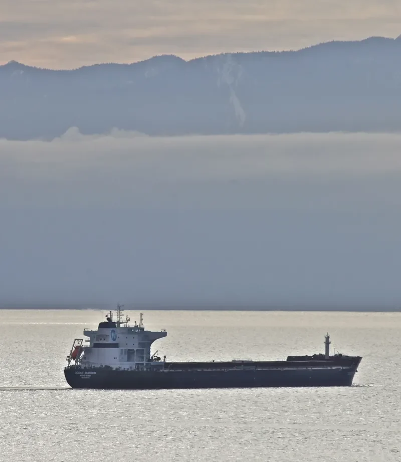 OCEAN DIAMOND Bulk Carrier IMO 9599573 photo 7