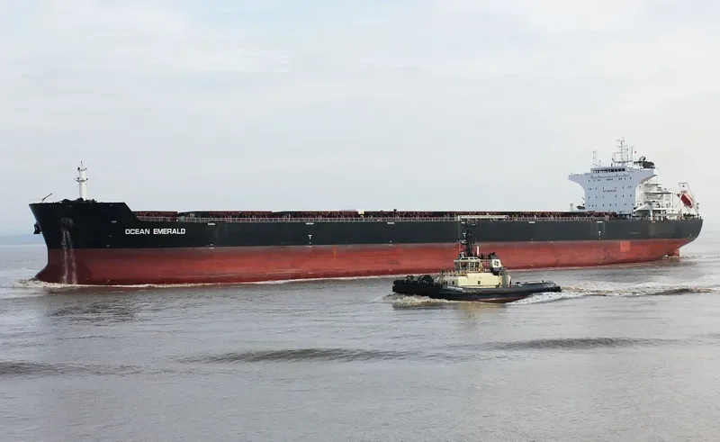 OCEAN EMERALD Bulk Carrier IMO 9599602 photo 7