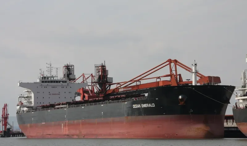 OCEAN EMERALD Bulk Carrier IMO 9599602 photo 9