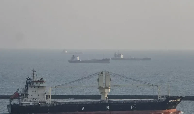 AMP PRINCESS General Cargo IMO 9599626