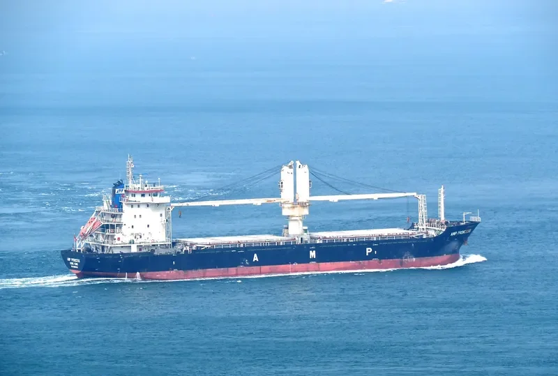 AMP PRINCESS General Cargo IMO 9599626 photo 3