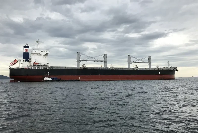 QUEEN SAPPHIRE Bulk Carrier IMO 9599755