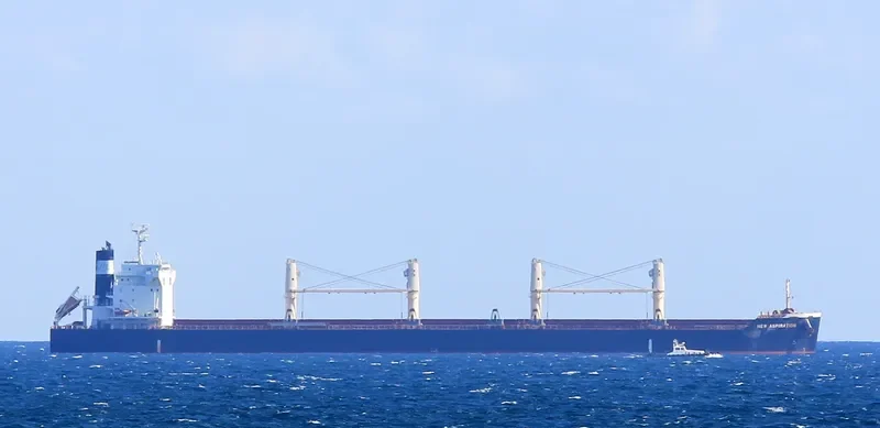 NEW ASPIRATION Bulk Carrier IMO 9599781 photo 2