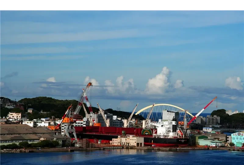 NEW ASPIRATION Bulk Carrier IMO 9599781 photo 3