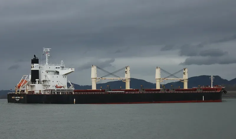 NEW ASPIRATION Bulk Carrier IMO 9599781 photo 7