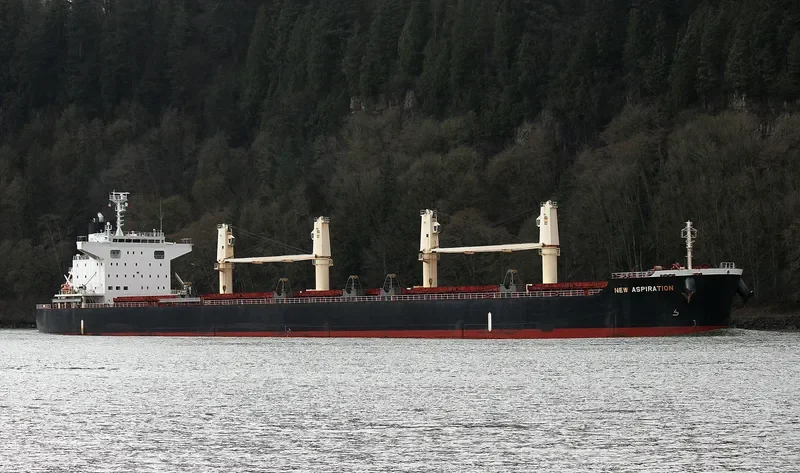 NEW ASPIRATION Bulk Carrier IMO 9599781 photo 8