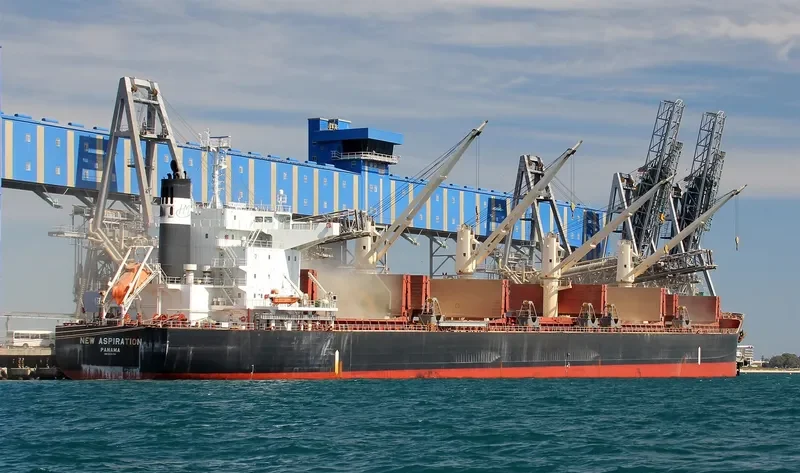 NEW ASPIRATION Bulk Carrier IMO 9599781 photo 9