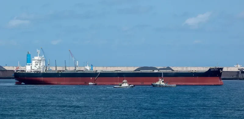 BERGE TSURUGI Bulk Carrier IMO 9599810 photo 3