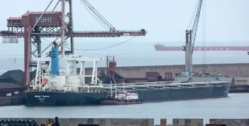 BERGE TSURUGI Bulk Carrier IMO 9599810 photo 5