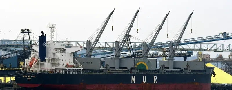 TRUE MARINER Bulk Carrier IMO 9599822 photo 2