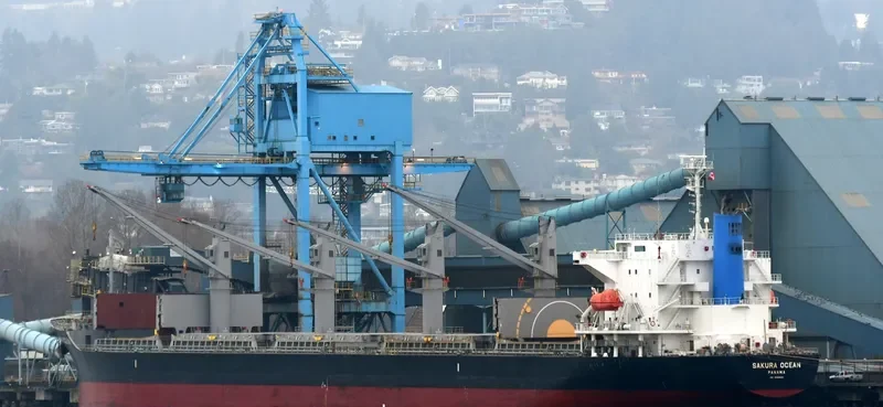 TRUE MARINER Bulk Carrier IMO 9599822 photo 5