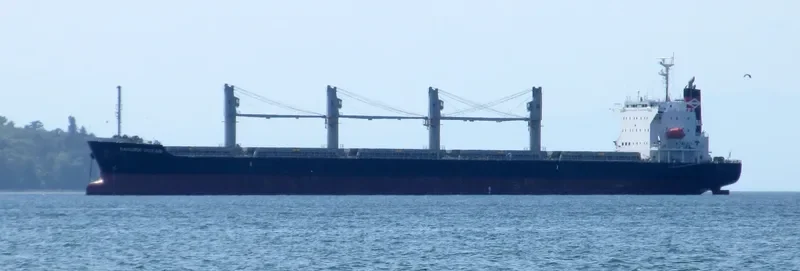 TRUE MARINER Bulk Carrier IMO 9599822 photo 7