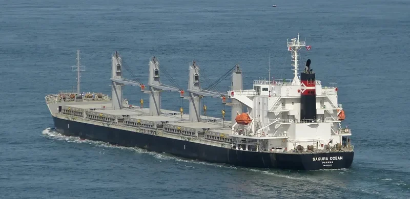 TRUE MARINER Bulk Carrier IMO 9599822 photo 8