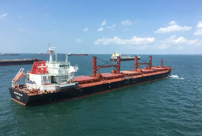 SINGAPORE BULKER Bulk Carrier IMO 9599901