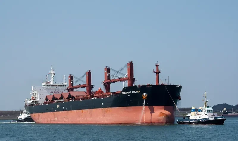 SINGAPORE BULKER Bulk Carrier IMO 9599901 photo 6