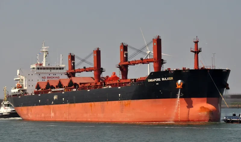 SINGAPORE BULKER Bulk Carrier IMO 9599901 photo 9