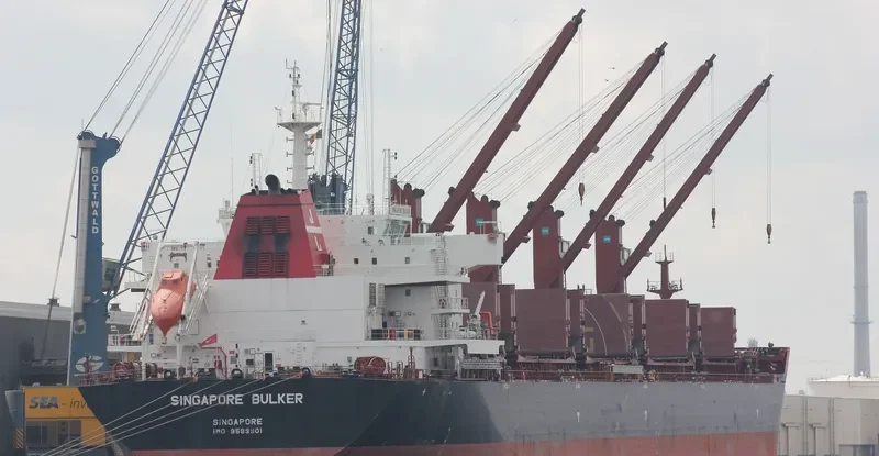 SINGAPORE BULKER Bulk Carrier IMO 9599901 photo 10