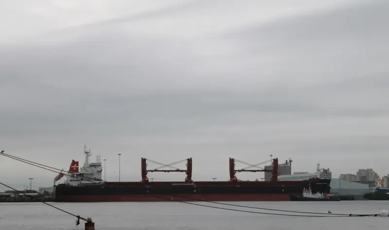 SHANGHAI BULKER Bulk Carrier IMO 9599913