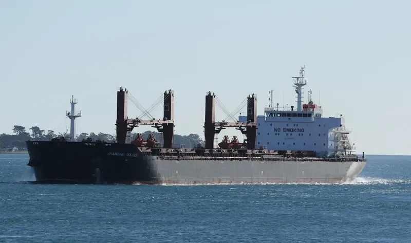SHANGHAI BULKER Bulk Carrier IMO 9599913 photo 3