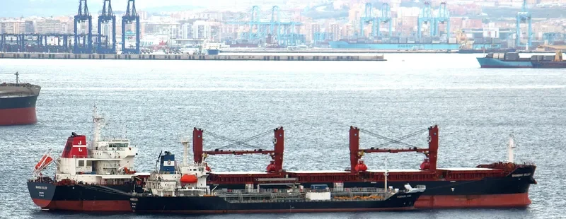 SHANGHAI BULKER Bulk Carrier IMO 9599913 photo 4