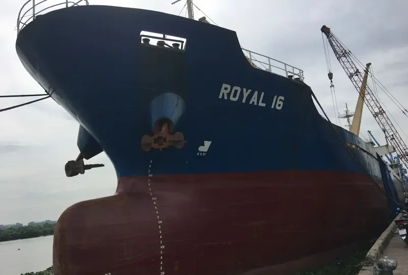 ROYAL 16 Bulk Carrier IMO 9600011 photo 3