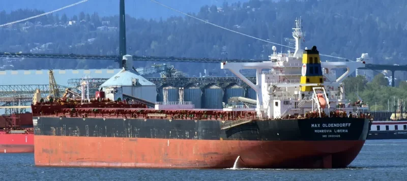MAX WARRIOR Bulk Carrier IMO 9600425 photo 5